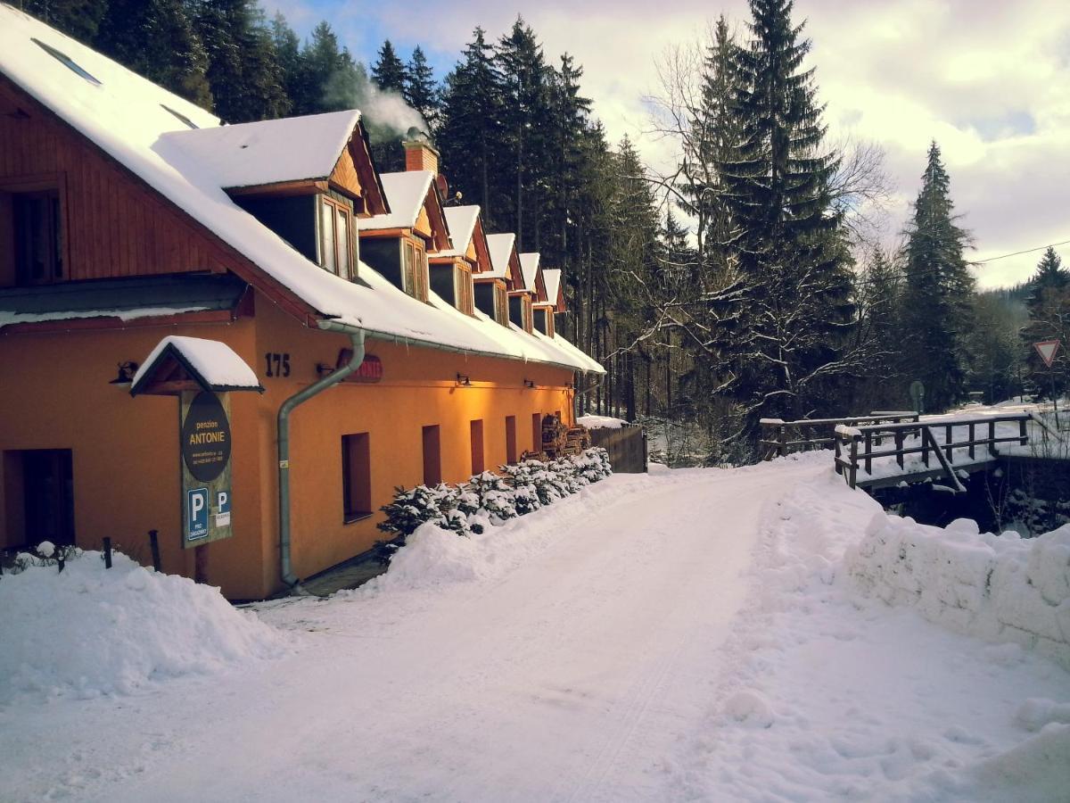 Hotel Penzion Antonie Malá Morávka Zewnętrze zdjęcie